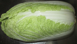 Napa Cabbage